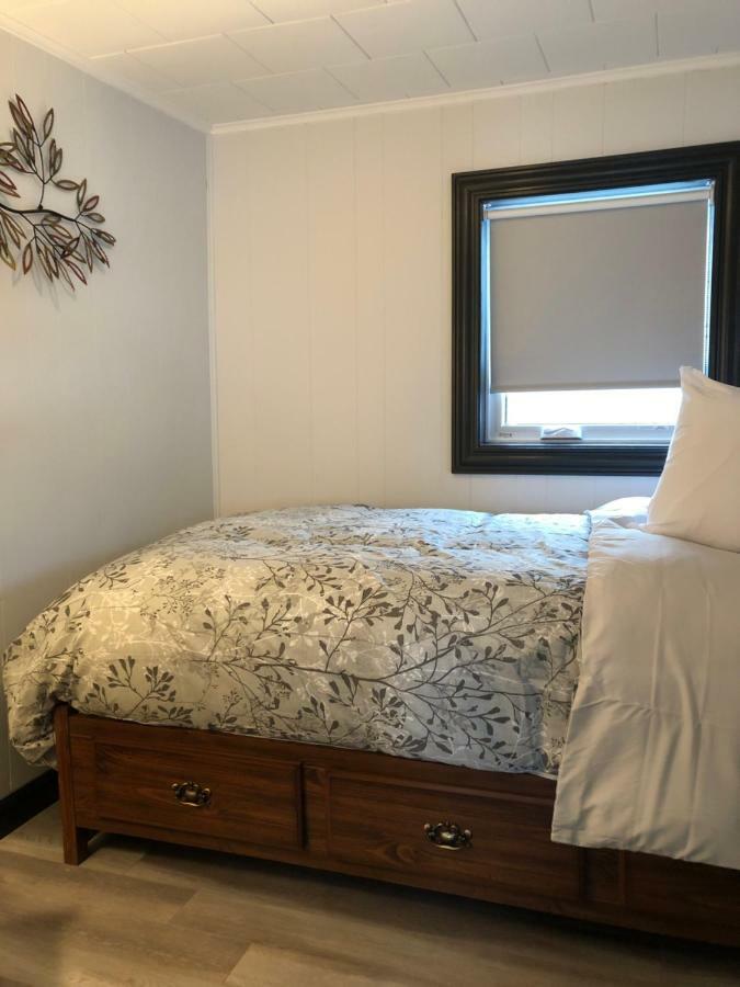 Alma'S Cape Shore Cottage! Your Home Away From Home! بونافيستا المظهر الخارجي الصورة