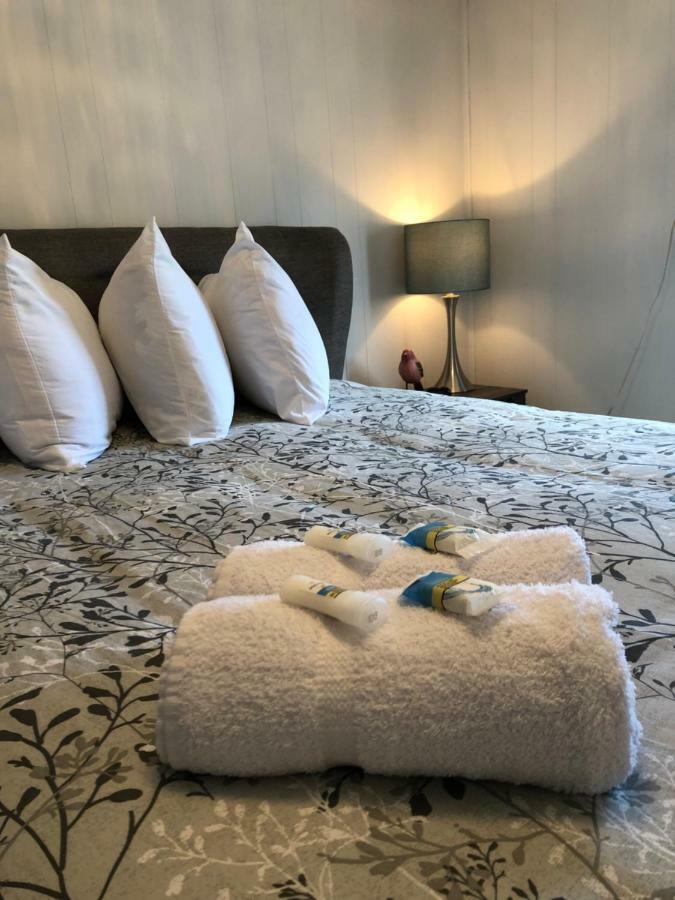 Alma'S Cape Shore Cottage! Your Home Away From Home! بونافيستا المظهر الخارجي الصورة